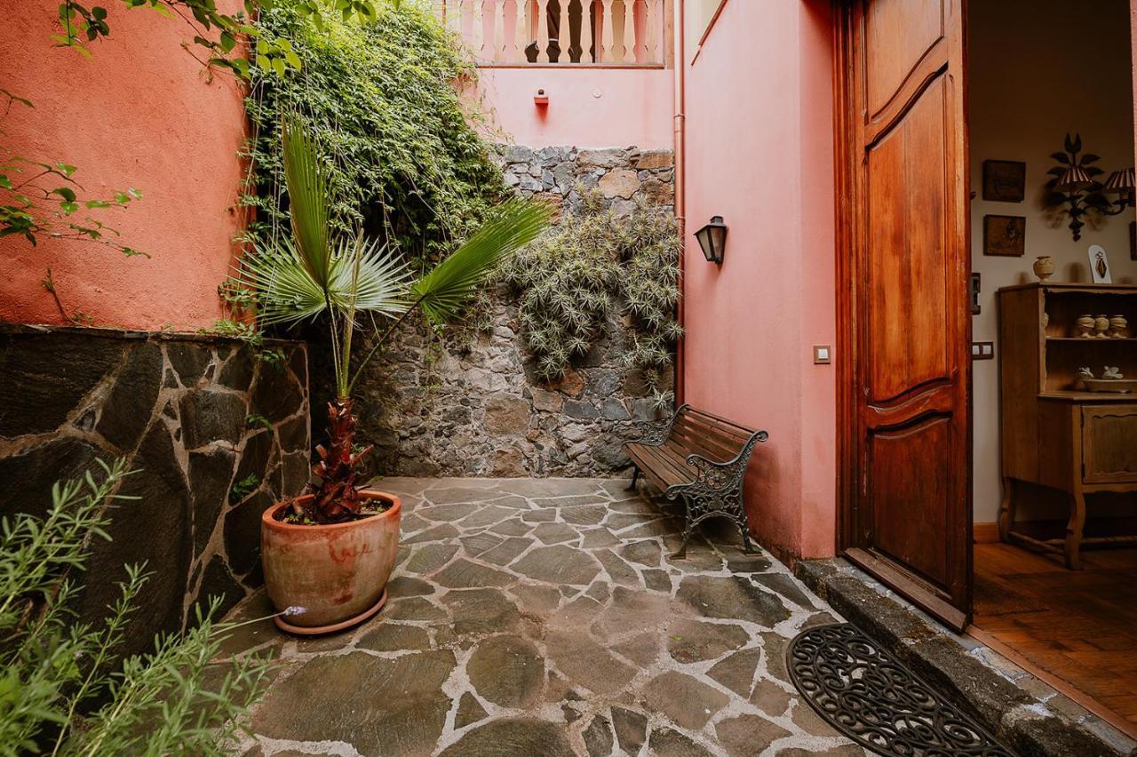 Homeforguest Rural House With Garden El Laurel Tacoronte Exterior foto