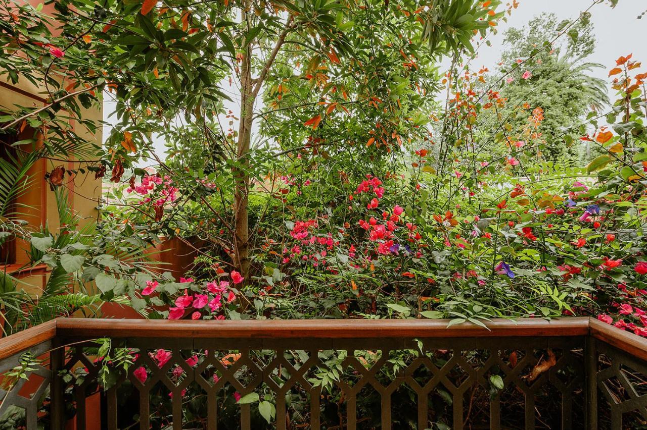 Homeforguest Rural House With Garden El Laurel Tacoronte Exterior foto